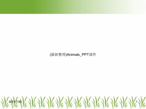 (最新整理)Animals_PPT课件