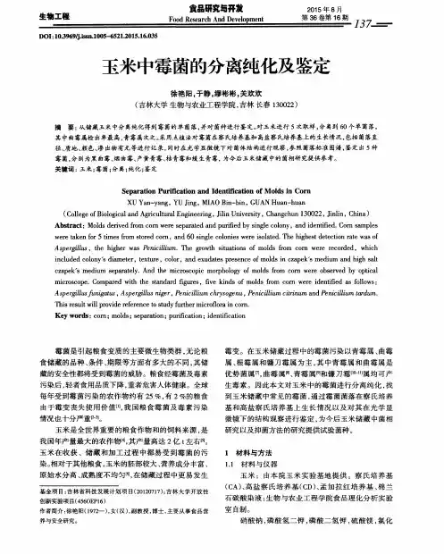 玉米中霉菌的分离纯化及鉴定