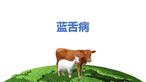 蓝舌病课件(共11张PPT)《动物疫病防治》