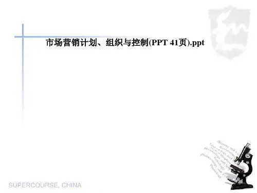 市场营销计划、组织与控制(PPT 41页)