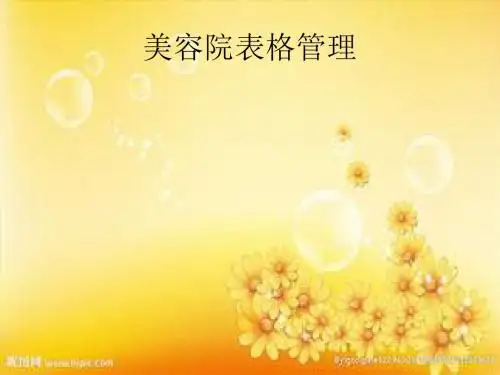 美容院表格管理ppt