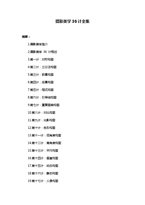 摄影美学36计全集