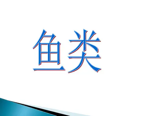沪教版生物八年级第二册 4.2.1 鱼类 课件