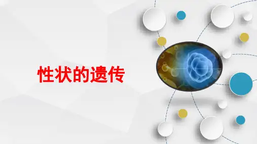 初中生物【性状的遗传】优质课件
