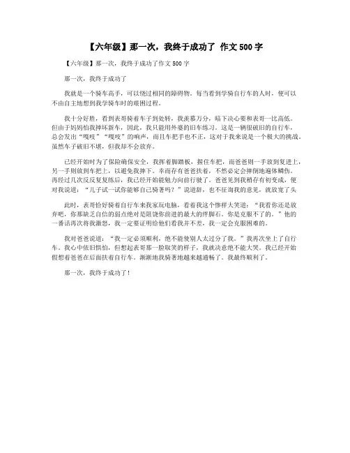 【六年级】那一次,我终于成功了 作文500字