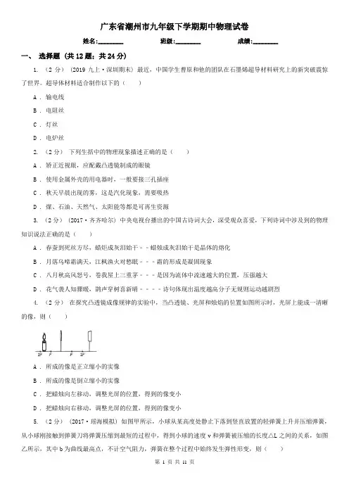 广东省潮州市九年级下学期期中物理试卷