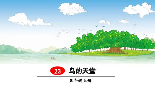 人教部编版《鸟的天堂》优秀课件1