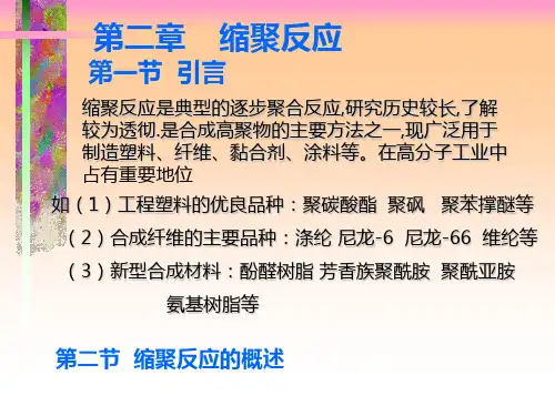 第二章 缩聚反应PPT课件