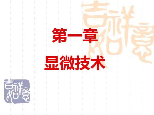 显微技术