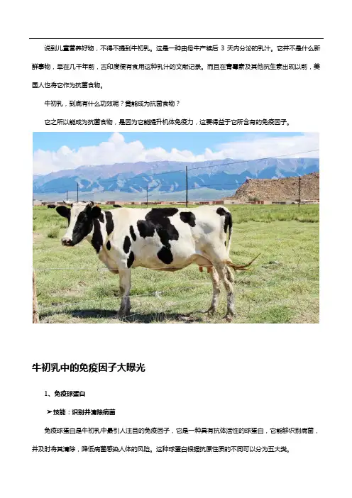 牛初乳到底什么来头,竟然能成为抗菌食物