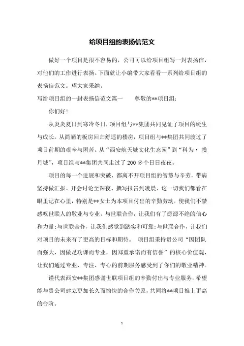 给项目组的表扬信范文