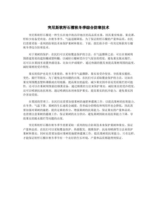 突尼斯软籽石榴秋冬季综合防寒技术
