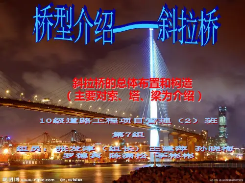斜拉桥桥型介绍