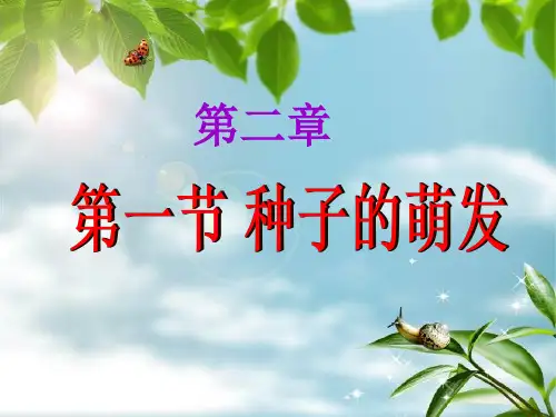 21种子的萌发-山东省东平县实验中学鲁科版(五四学制)六年级生物下册课件(共23张PPT)