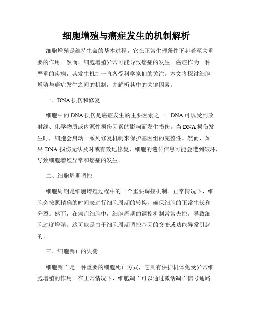 细胞增殖与癌症发生的机制解析