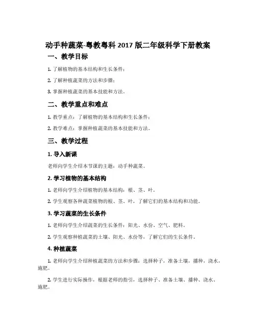 动手种蔬菜-粤教粤科2017版二年级科学下册教案