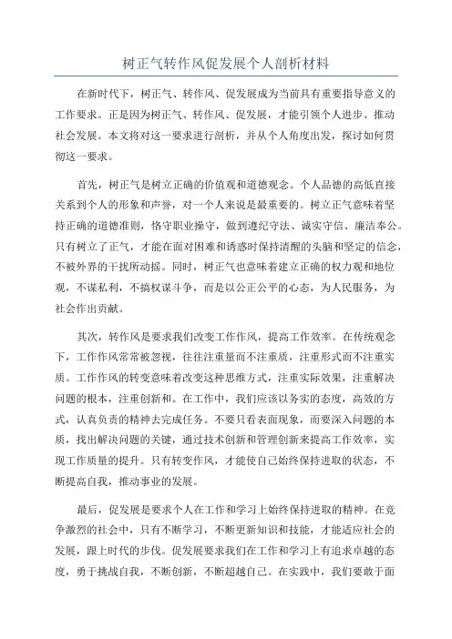 树正气转作风促发展个人剖析材料