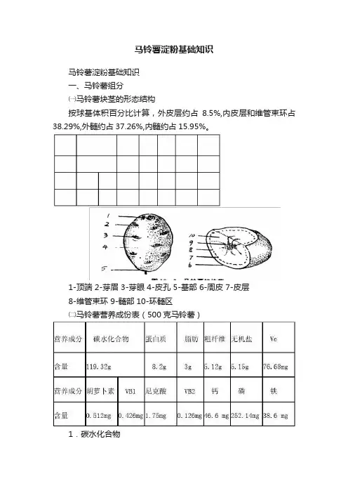 马铃薯淀粉基础知识