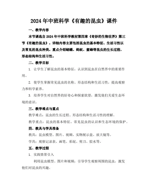 2024年中班科学《有趣的昆虫》课件