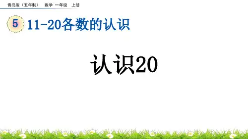 《认识20》11-20各数的认识PPT课件