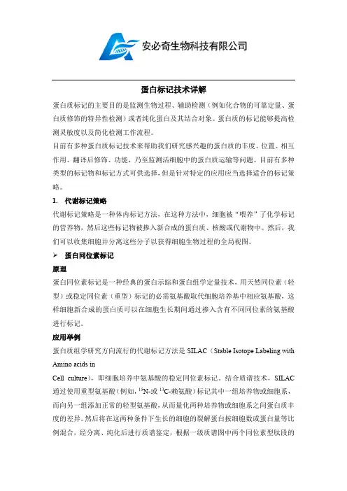 蛋白标记技术详解