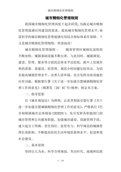 城市精细化管理细则