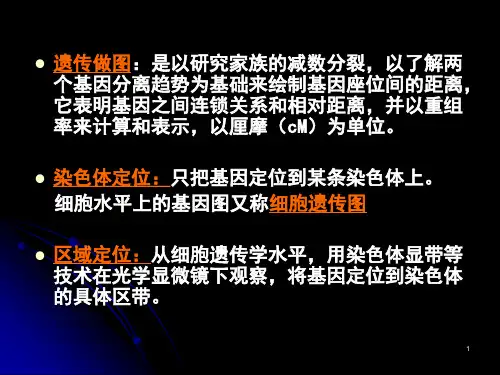 基因定位常用的方法ppt课件