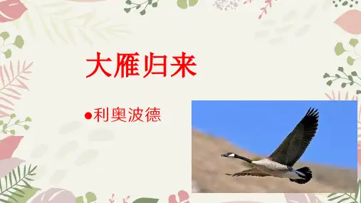 第7课《大雁归来》课件(共24张ppt)   2022-2023学年部编版语文八年级下册