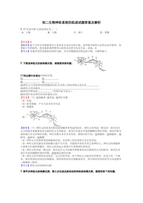 初二生物神经系统的组成试题答案及解析
