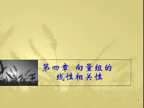 同济大学线性代数课件__第四章y
