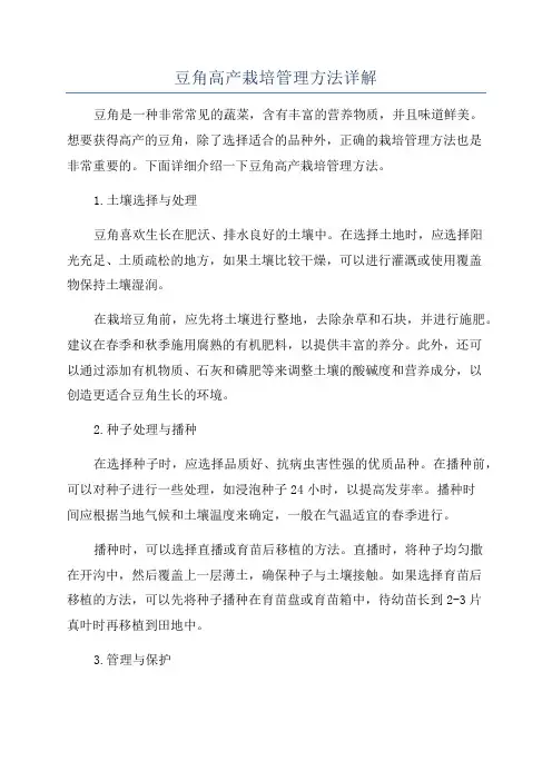 豆角高产栽培管理方法详解