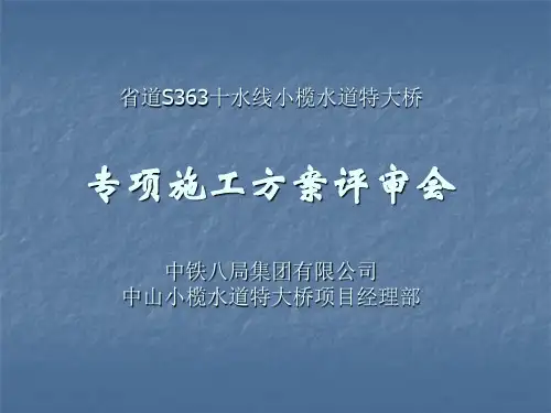 小榄水道特大桥方案评审