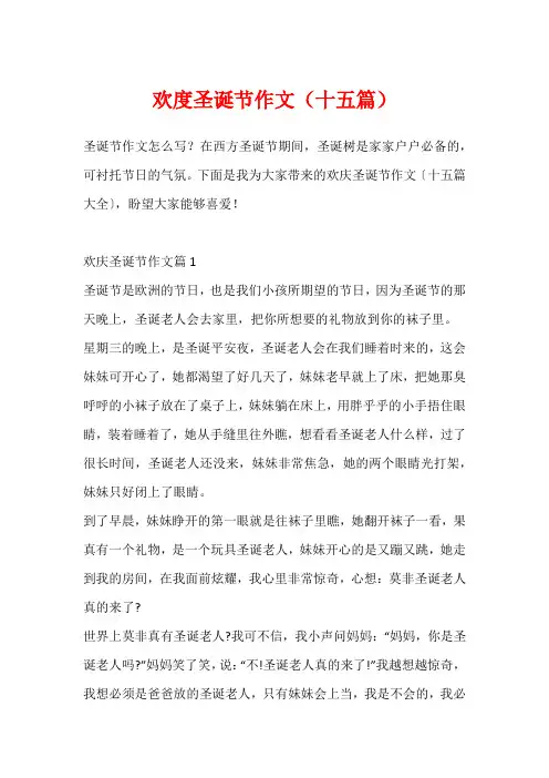 欢度圣诞节作文(十五篇)