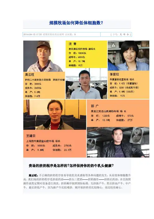 规模牧场如何降低体细胞数