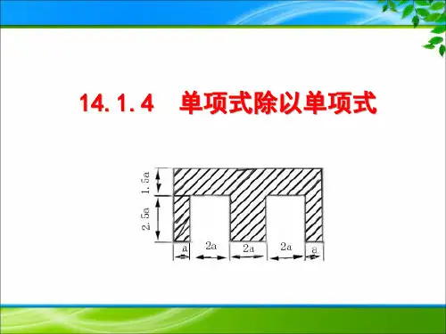 《14.1.4 单项式除以单项式》优质课件(2套)