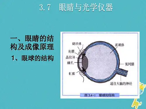 眼睛与光学仪器PPT课件(粤沪版)