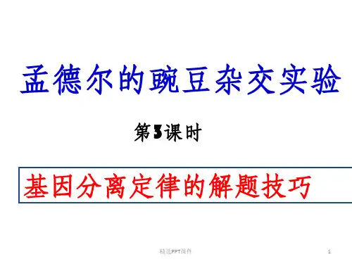 基因分离定律复习公开课ppt课件