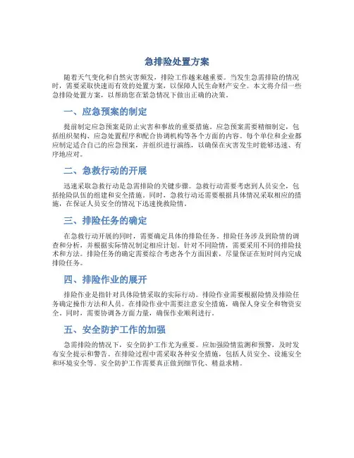急排险处置方案