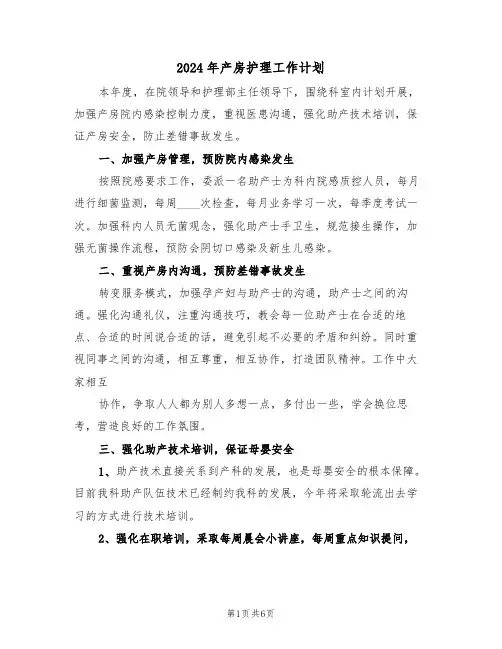 2024年产房护理工作计划(三篇)