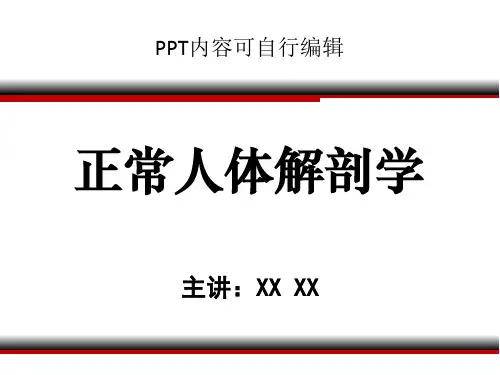 正常人体解剖学PPT精品课程讲义