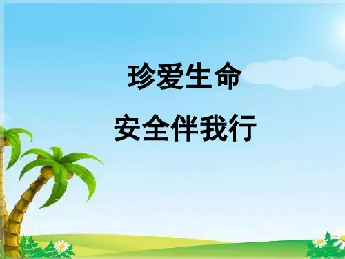 珍爱生命_安全伴我行_安全教育班会课件安全教育(共56张PPT)(PPT36页)