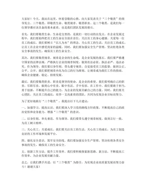 三个敬畏领导发言稿