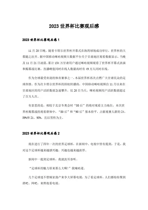 2023世界杯比赛观后感