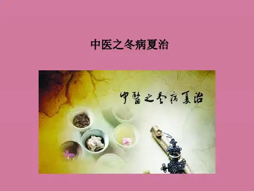冬病夏治 祛湿 ppt课件