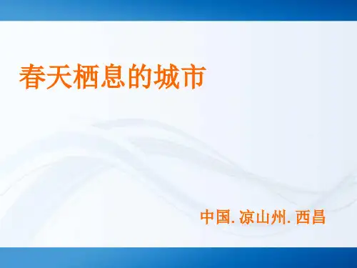西昌介绍(超全面)