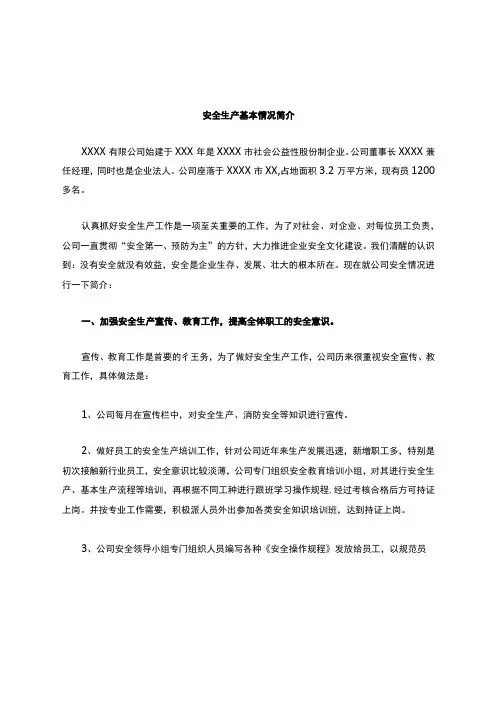 公司安全生产基本情况说明