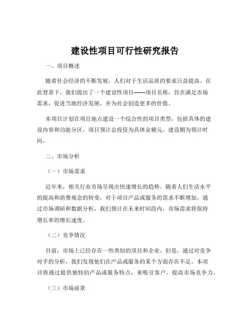 建设性项目可行性研究报告