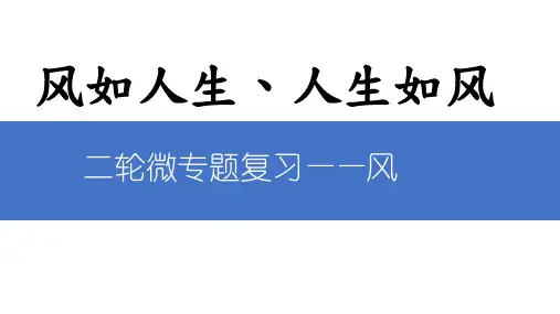 高考地理二轮课件 微专题复习——风