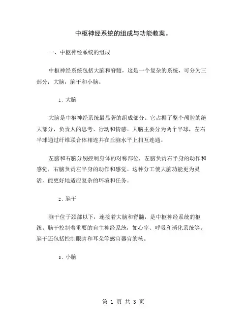 中枢神经系统的组成与功能教案