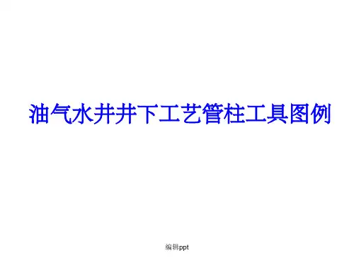 油气水井井下工艺管柱工具图例